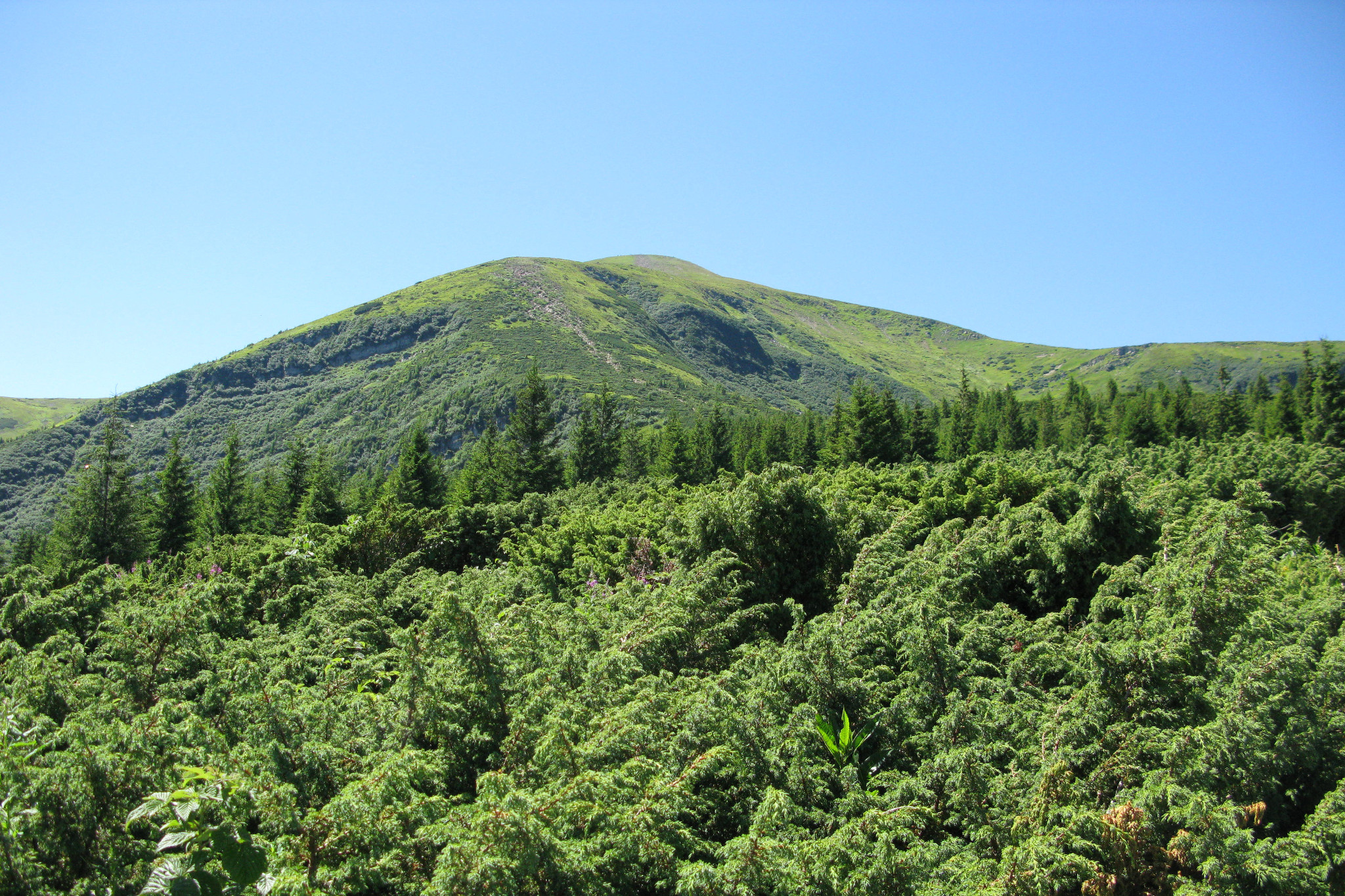 Hoverla, 2 061 mUkraine 🇺🇦