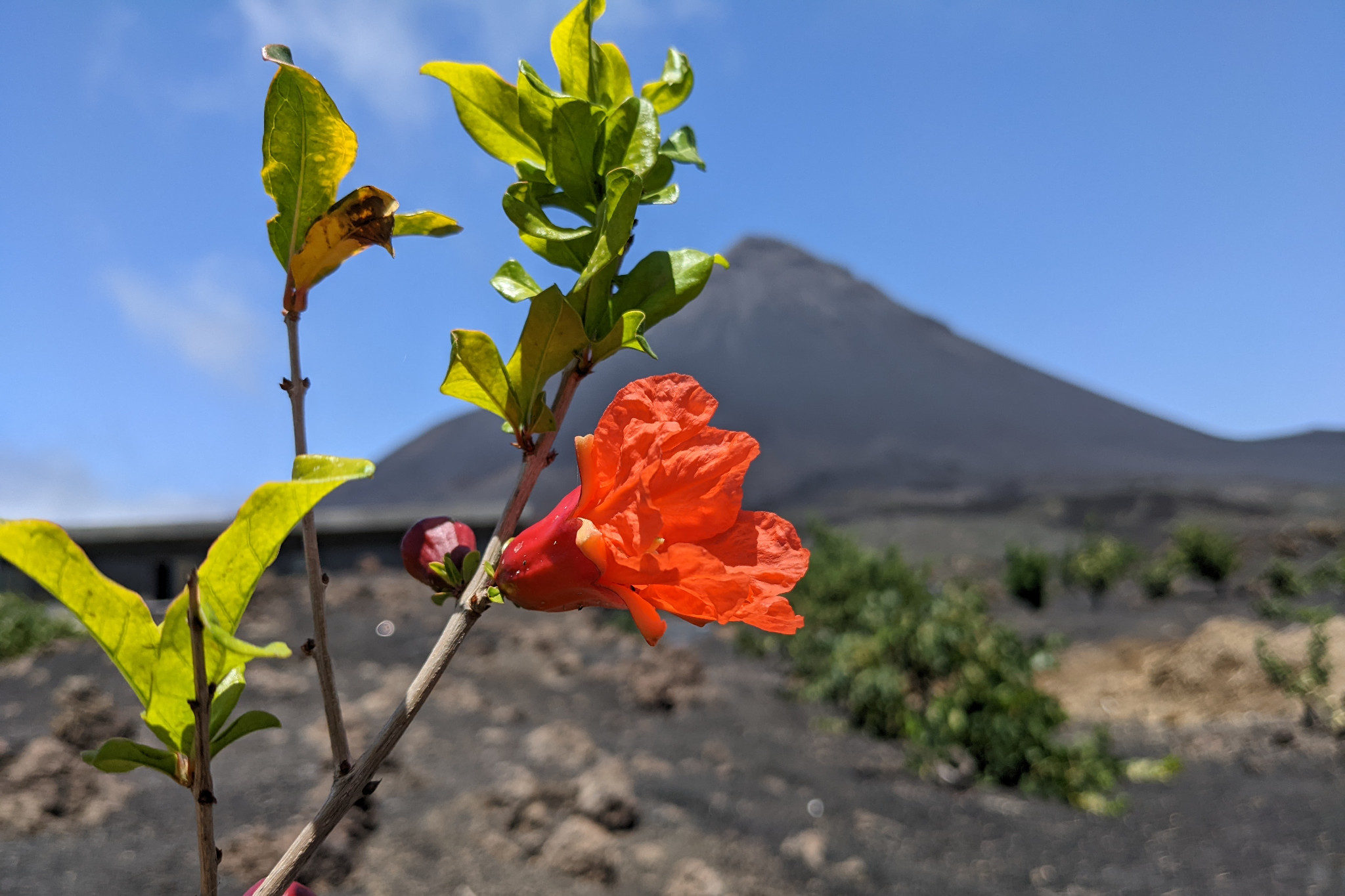 Pico do Fogo, 2 829 mCap-Vert 🇨🇻