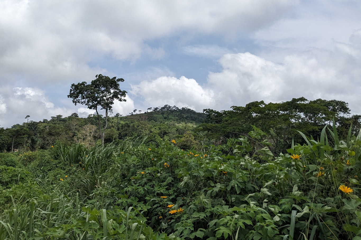 Leklata, 900 mGhana 🇬🇭